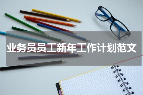 业务员员工新年工作计划范文