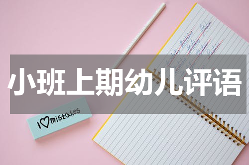 小班上期幼儿评语