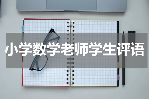 小学数学老师学生评语