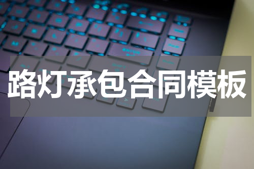 路灯承包合同模板