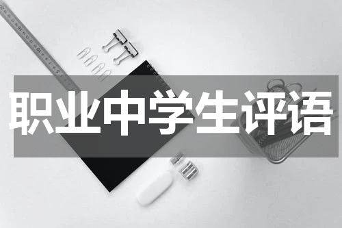 职业中学生评语