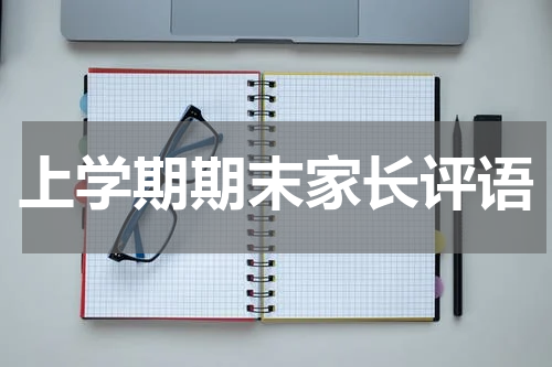 上学期期末家长评语