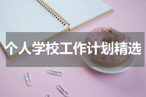 个人学校工作计划精选