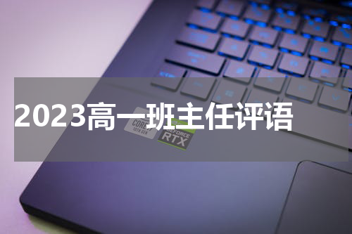 2023高一班主任评语