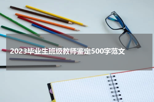 2023毕业生班级教师鉴定500字范文