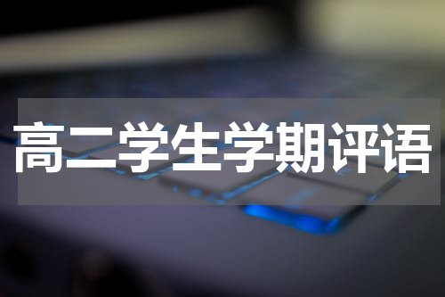 高二学生学期评语