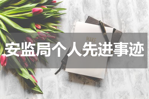 安监局个人先进事迹