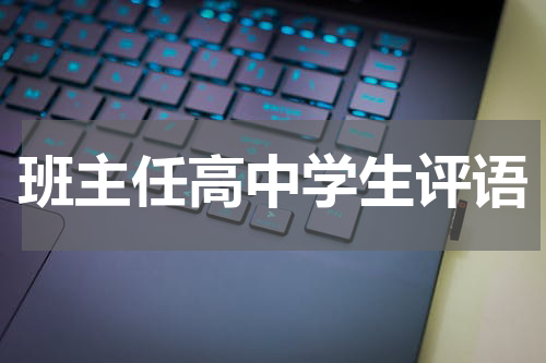 班主任高中学生评语