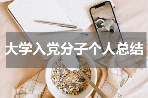 大学入党分子个人总结