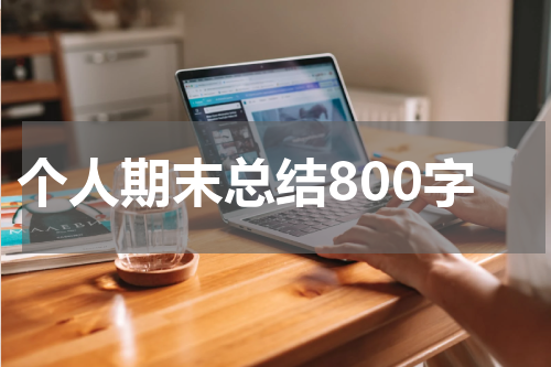 个人期末总结800字