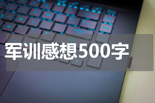 军训感想500字