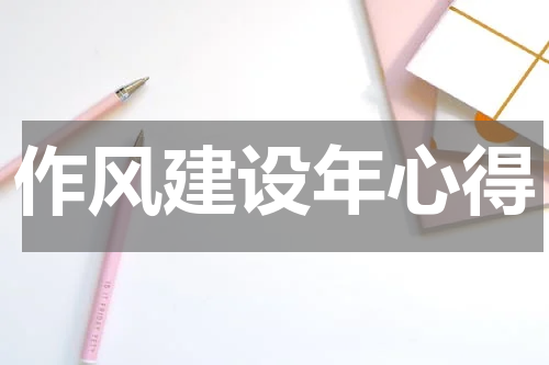 作风建设年心得