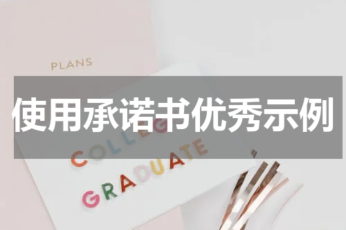 使用承诺书优秀示例