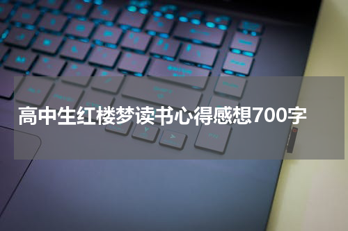 高中生红楼梦读书心得感想700字