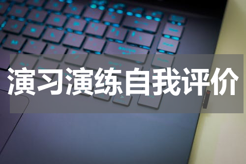 演习演练自我评价