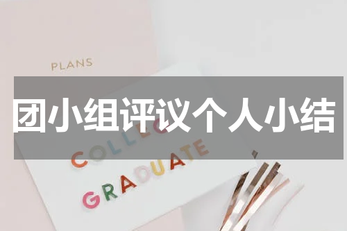 团小组评议个人小结