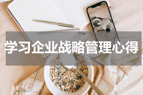 学习企业战略管理心得