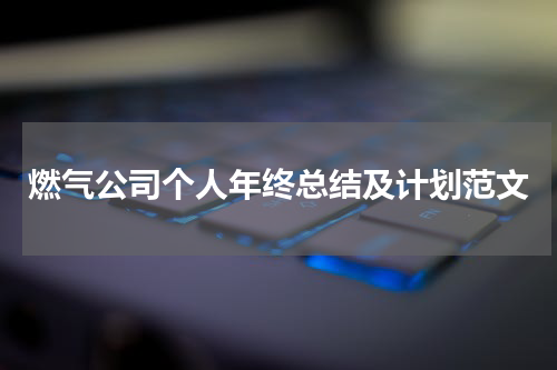 燃气公司个人年终总结及计划范文