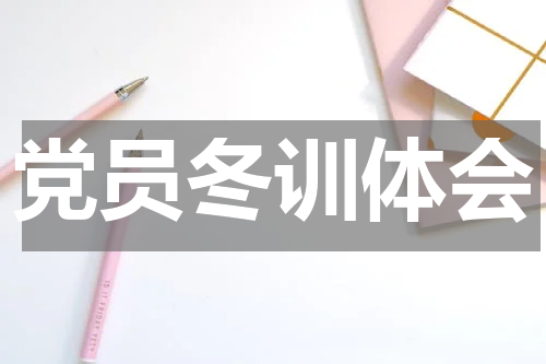 党员冬训体会