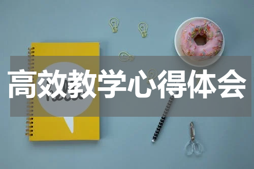 高效教学心得体会