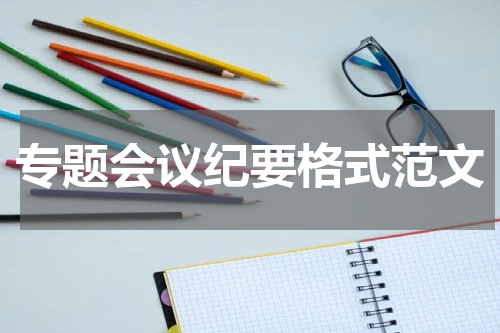 专题会议纪要格式范文