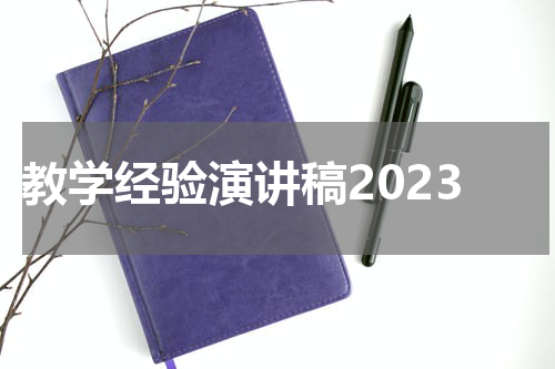 教学经验演讲稿2023