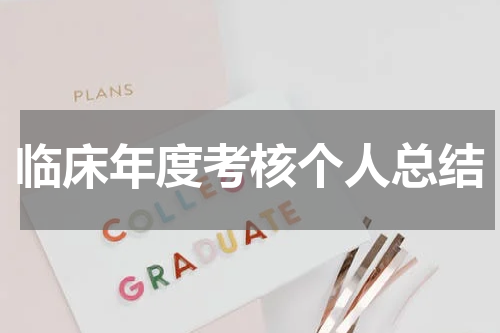 临床年度考核个人总结