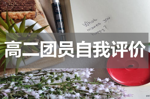 高二团员自我评价