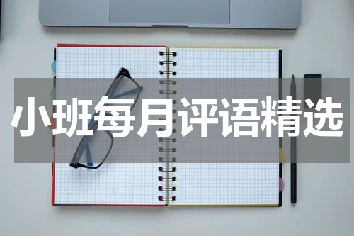 小班每月评语精选