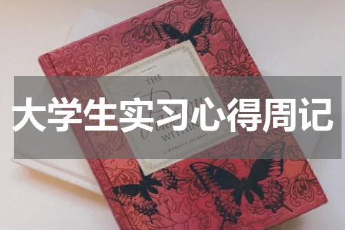 大学生实习心得周记
