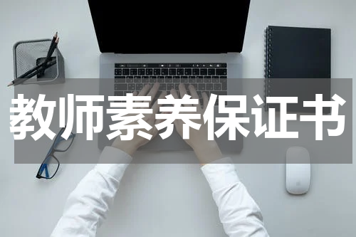 教师素养保证书