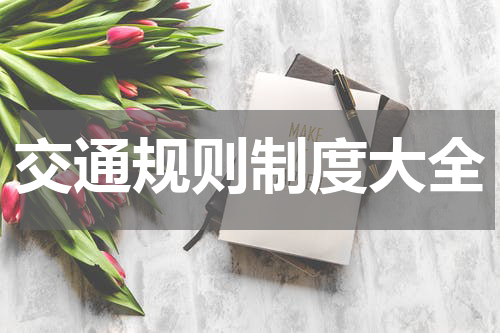 交通规则制度大全