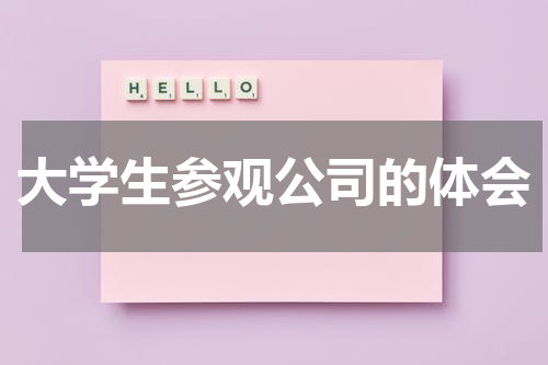 大学生参观公司的体会
