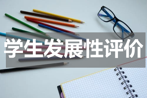 学生发展性评价