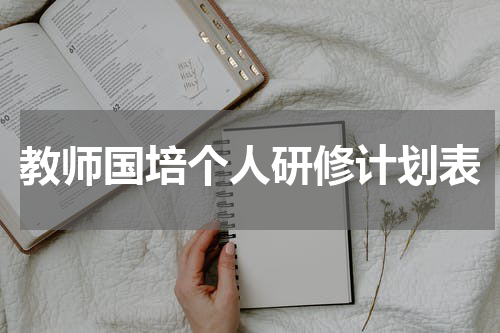 教师国培个人研修计划表