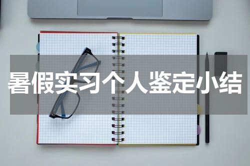暑假实习个人鉴定小结