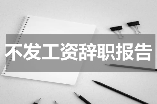 不发工资辞职报告
