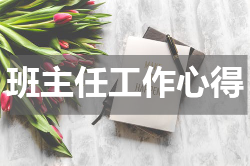 班主任工作心得