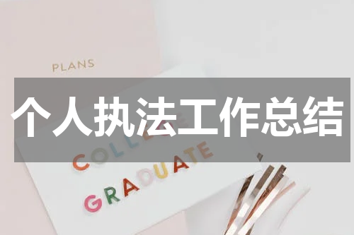 个人执法工作总结