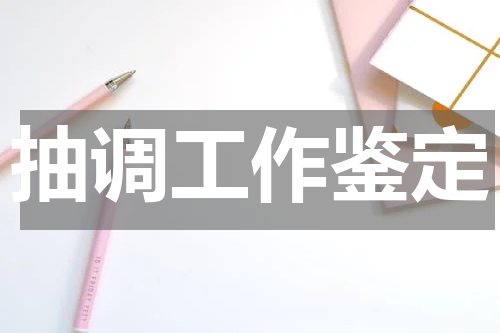 抽调工作鉴定