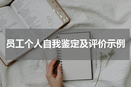 员工个人自我鉴定及评价示例
