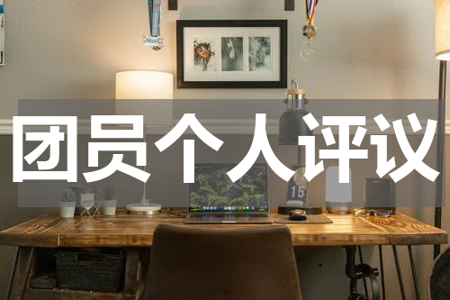 团员个人评议