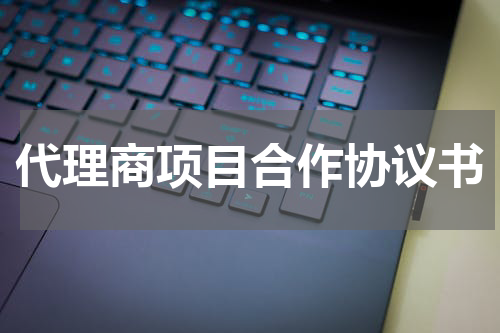 代理商项目合作协议书