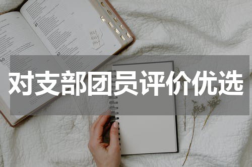 对支部团员评价优选