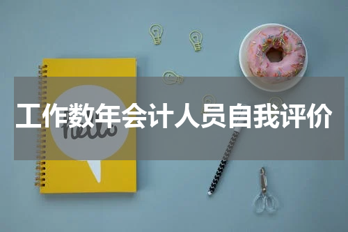 工作数年会计人员自我评价