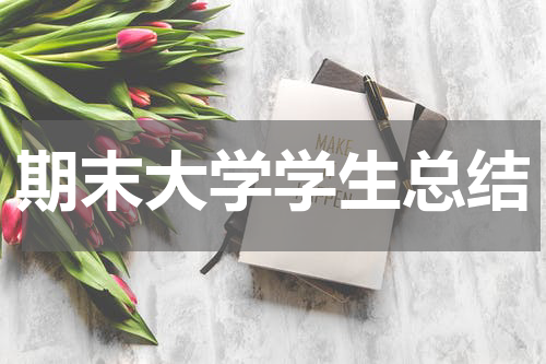 期末大学学生总结