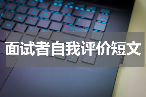 面试者自我评价短文