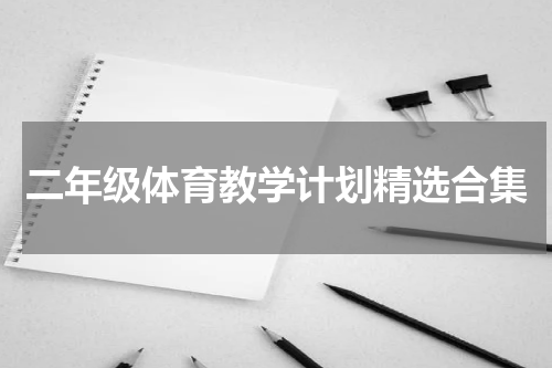 二年级体育教学计划精选合集