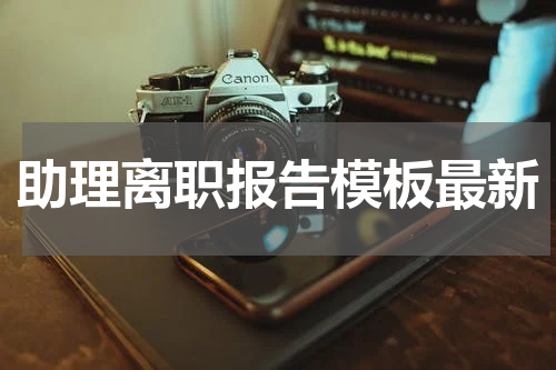 助理离职报告模板最新