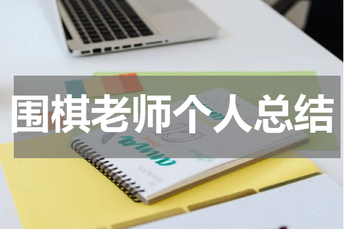 围棋老师个人总结
